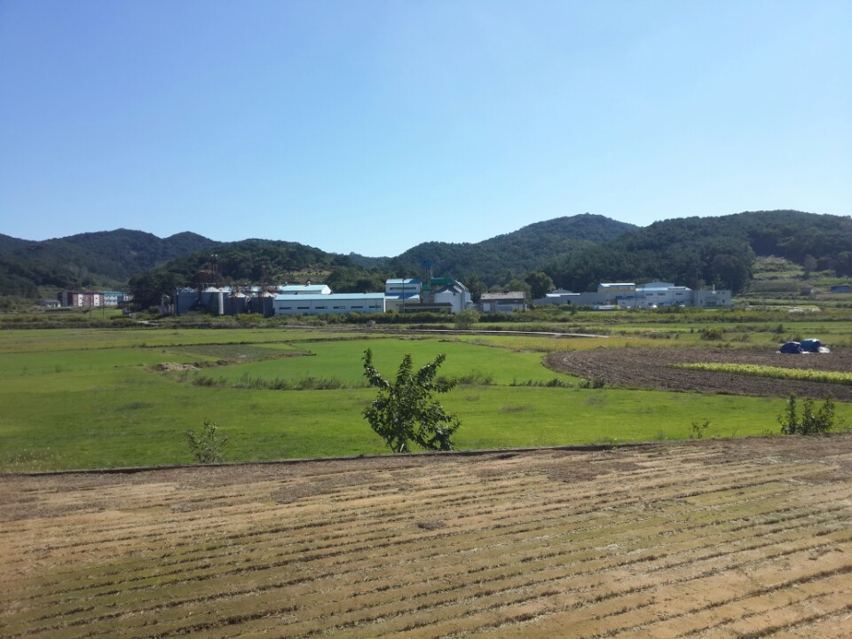 2000769928_b0sJR5IC_02cf3e6213aa9e3dca2bbaf13579a78efd91eeed.jpg 이미지크게보기