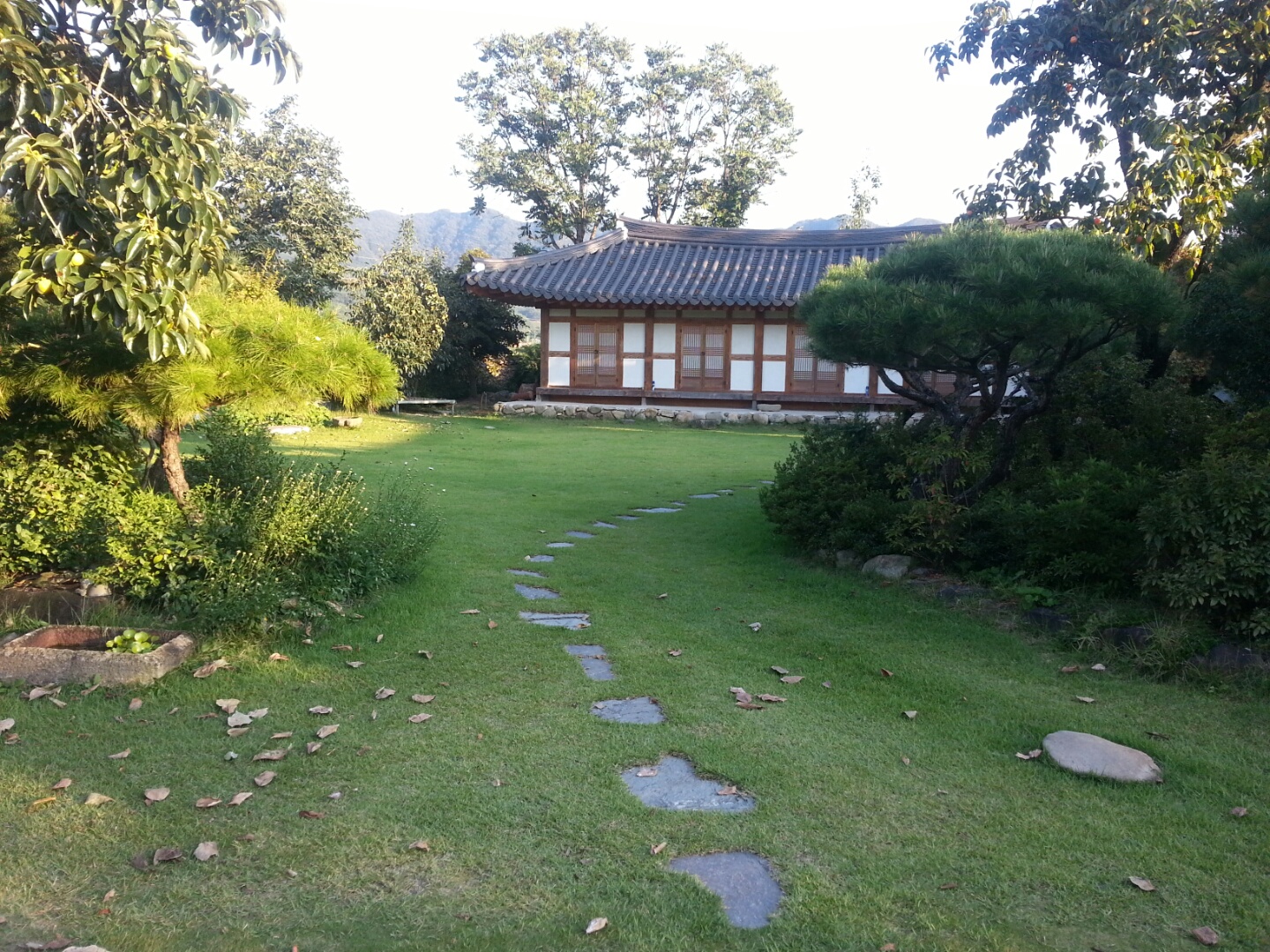 2000769928_bmxjphnz_86a200dd2939637b123e334e797bb369d14fd02d.jpeg 이미지크게보기